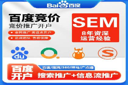 SEO百度推广策略：成功案例解析