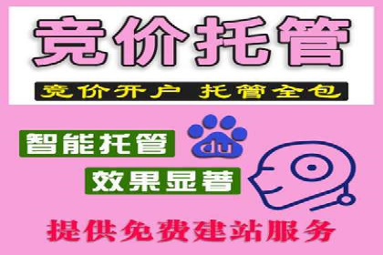 成功案例解析：sem竞价代运营如何助力企业增长